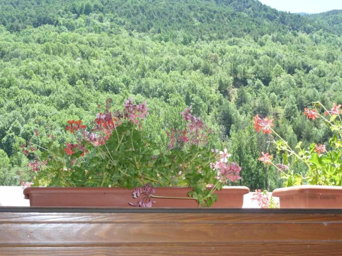 Willa Casa La Lourdes Ainet de Besan Zewnętrze zdjęcie